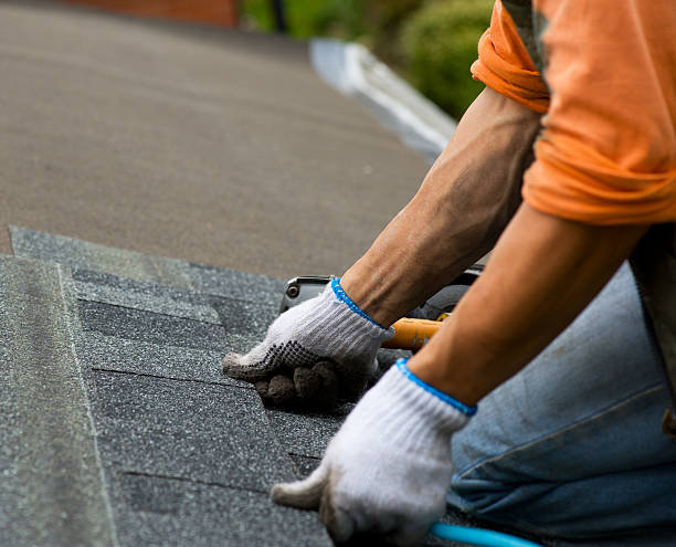 Quick and Trustworthy Emergency Roof Repair Services in Dollar Bay, MI